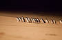 3 Day Ultimate Package (Great Ocean Road, Phillip Island & Wilsons Promontory) includes 2 nights shared accommodation